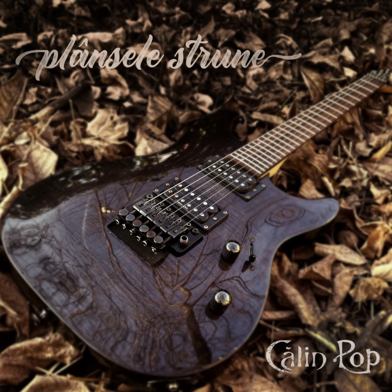Artwork jpg-Plânsele strune