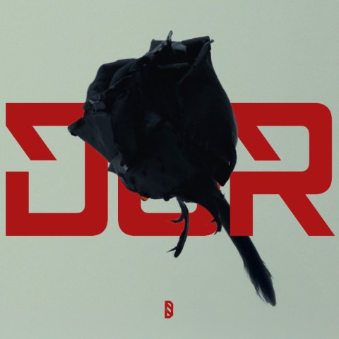 DOR – o noua melodie Dora Gaitanovici, alaturi de Irina Rimes