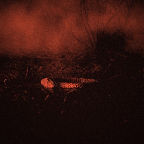 Pâenil Era a lansat single-ul „The Braids”